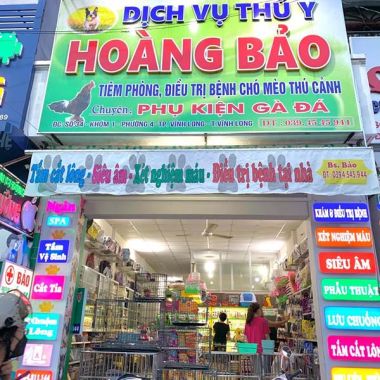 Top 45+ Mẫu Bảng Hiệu Pet Shop Thú Cưng Độc Đáo Dễ Thương